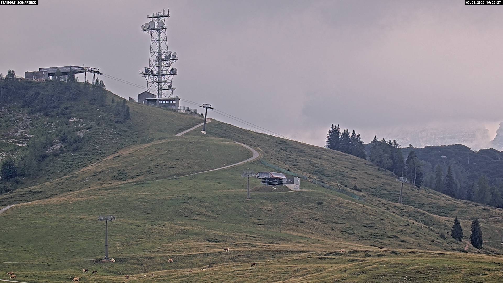 Archiv Foto Webcam Loferer Alm: Schönbühelblick