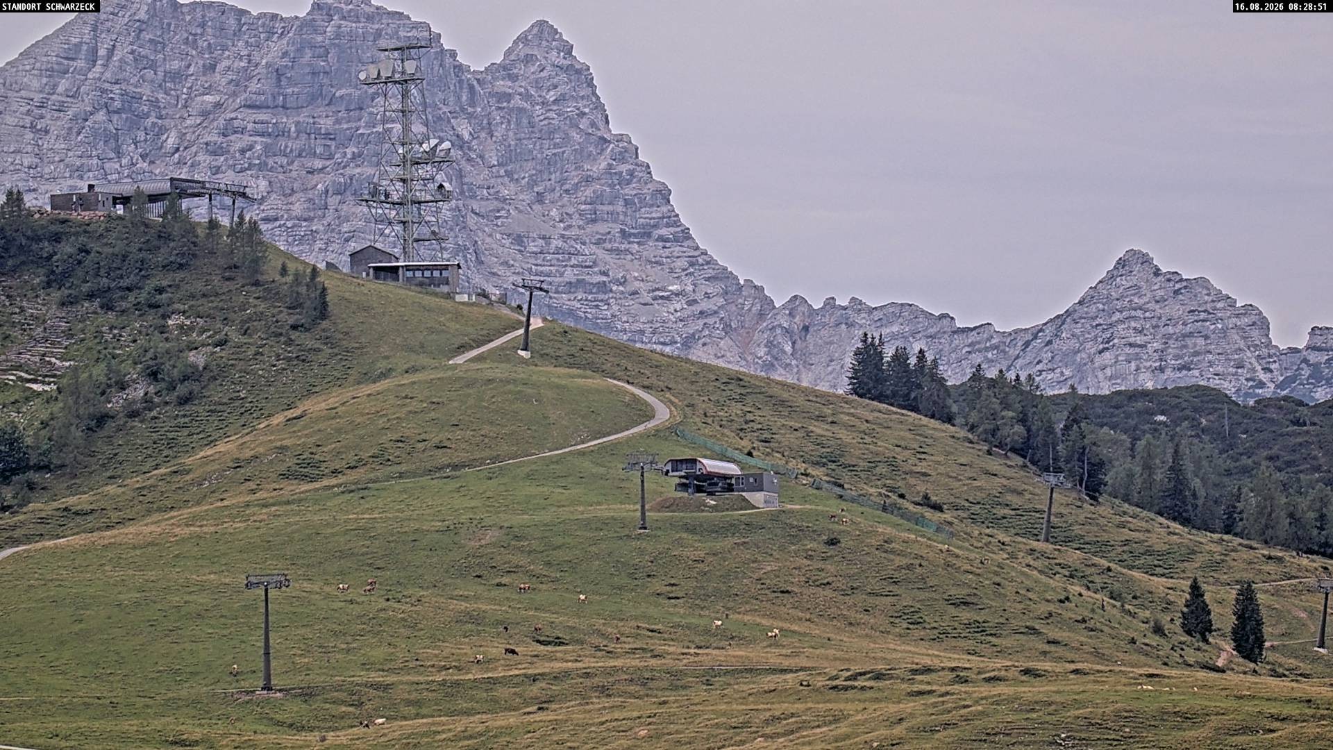 Archiv Foto Webcam Loferer Alm: Schönbühelblick