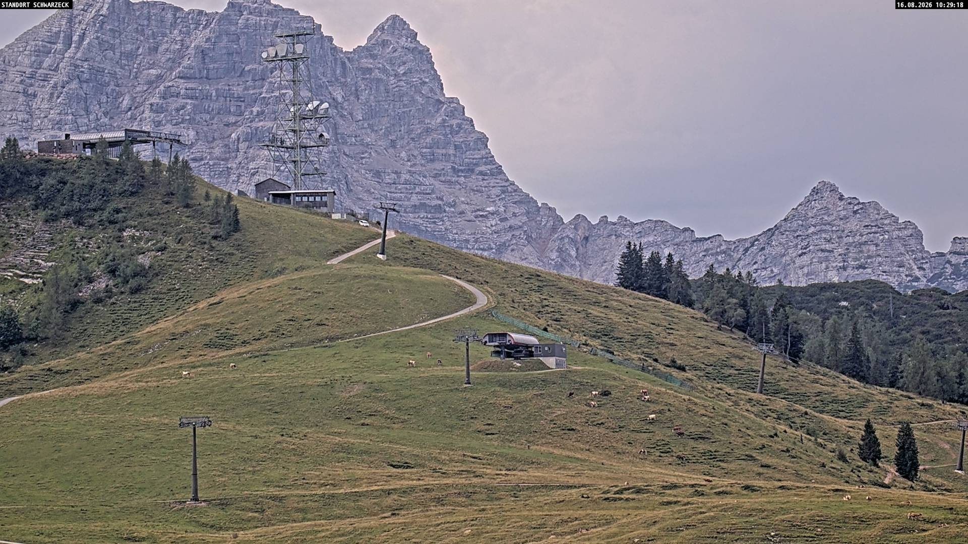 Archiv Foto Webcam Loferer Alm: Schönbühelblick