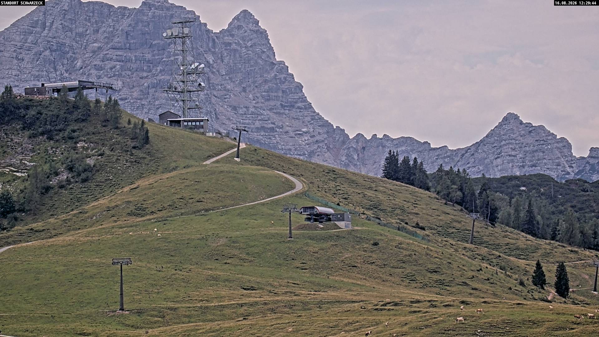 Archiv Foto Webcam Loferer Alm: Schönbühelblick