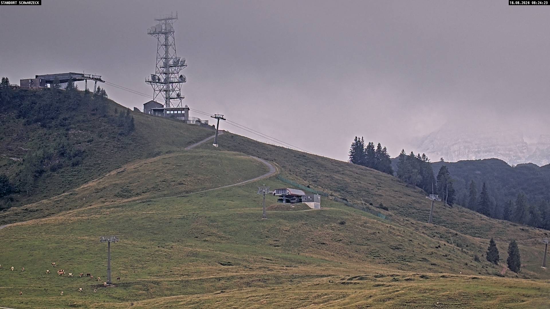 Archiv Foto Webcam Loferer Alm: Schönbühelblick