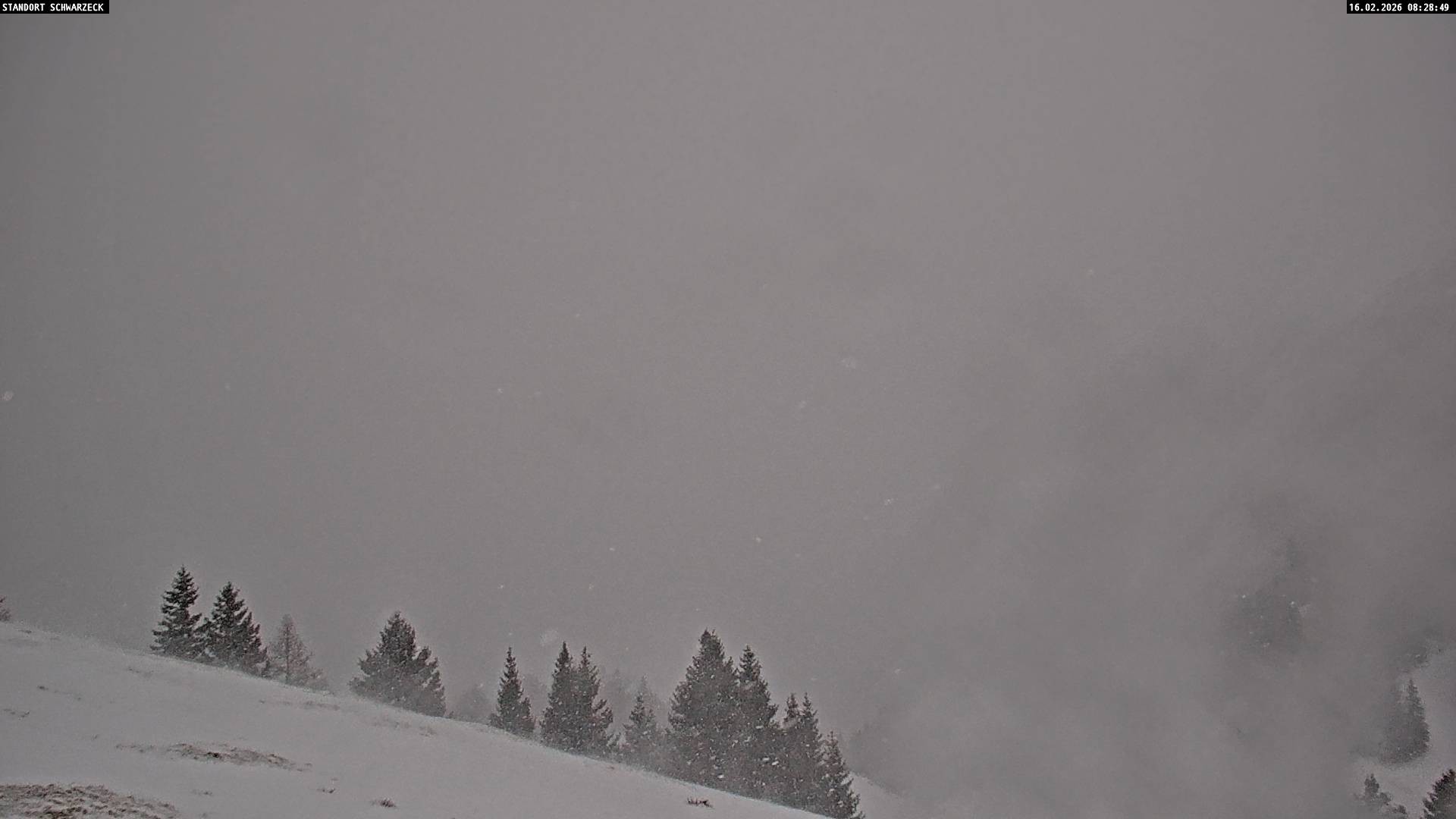 Archiv Foto Webcam Blick von Lofer auf die Berchtesgadener Alpen