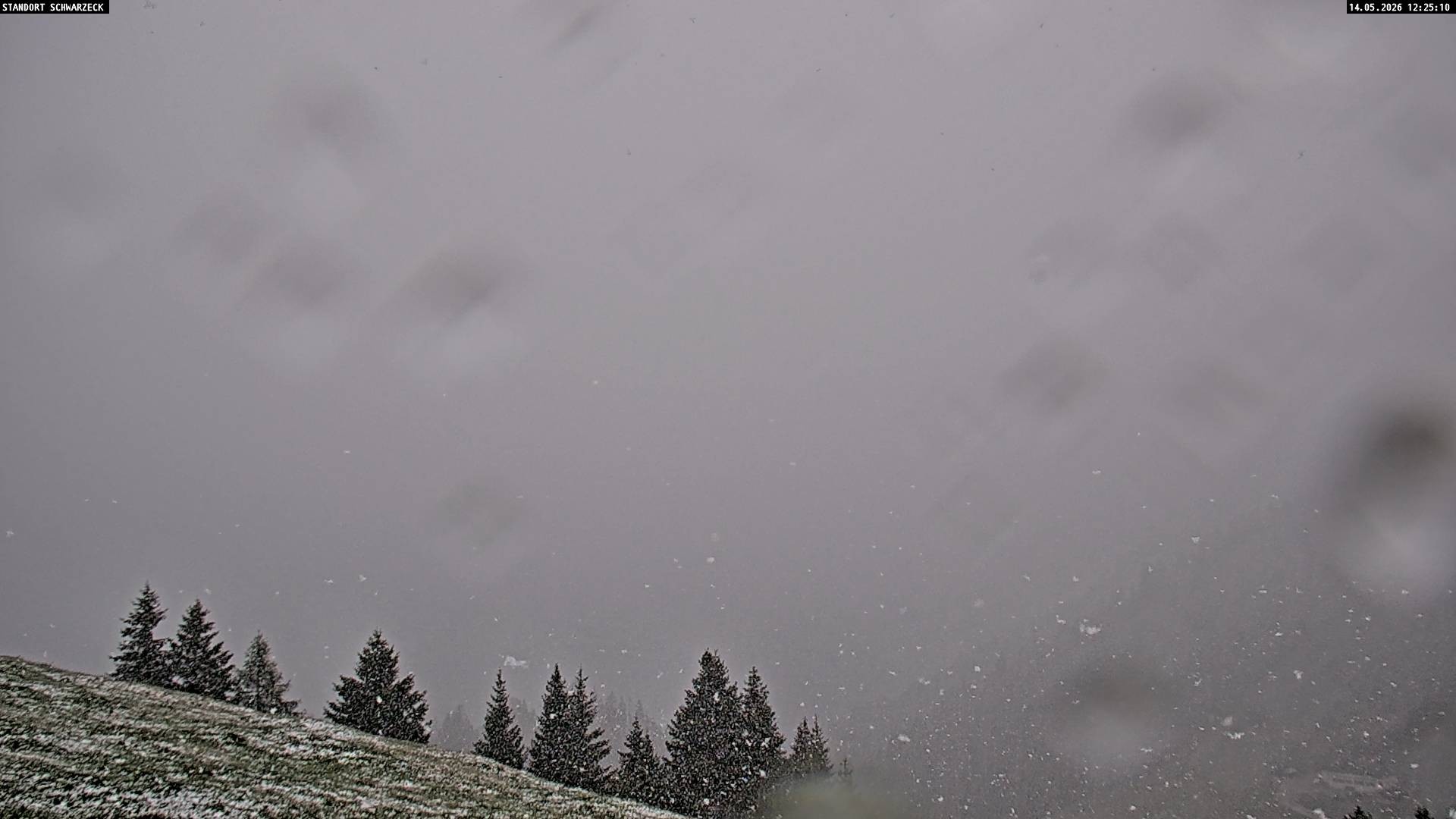 Archiv Foto Webcam Blick von Lofer auf die Berchtesgadener Alpen