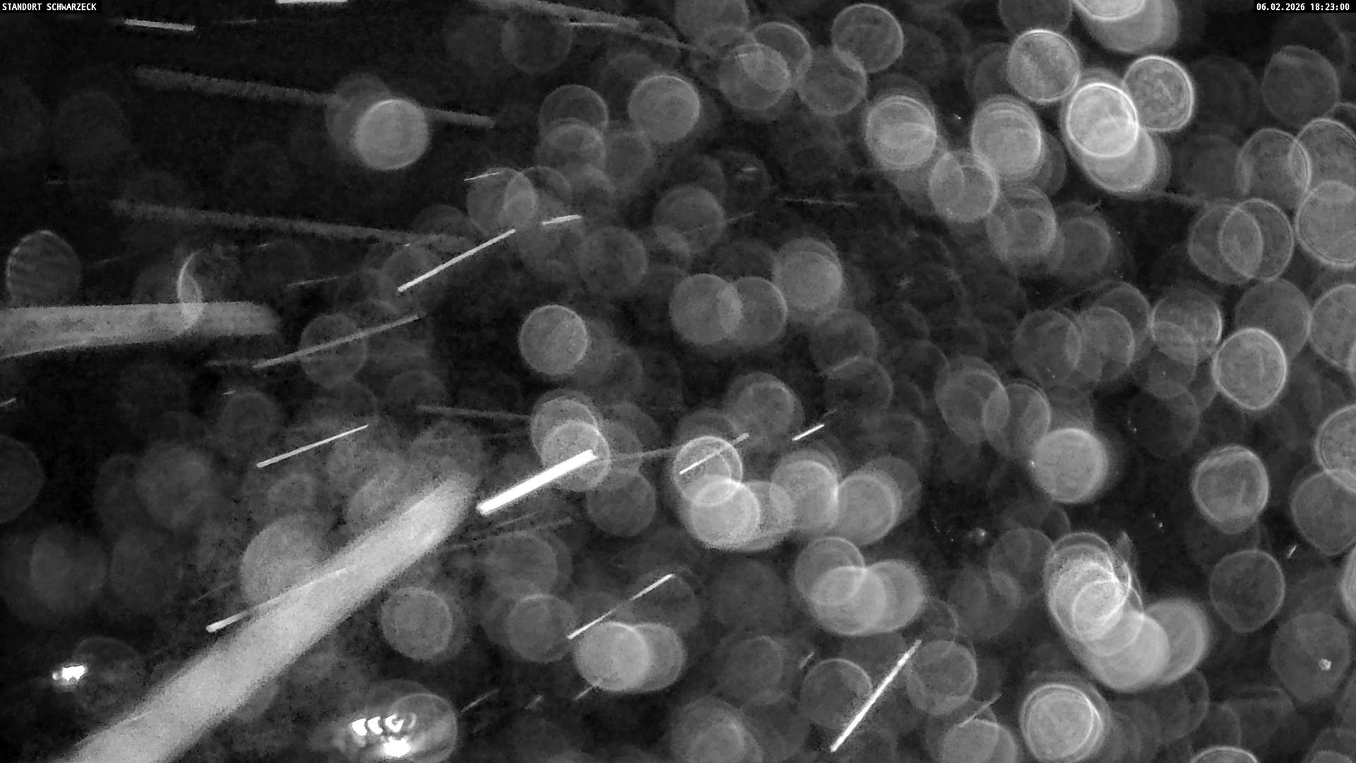 Archiv Foto Webcam Grubhörndl, Loferer Alm