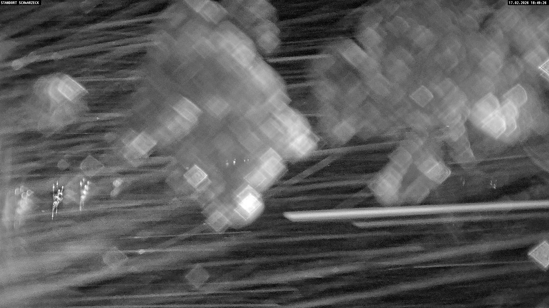 Archiv Foto Webcam Grubhörndl, Loferer Alm