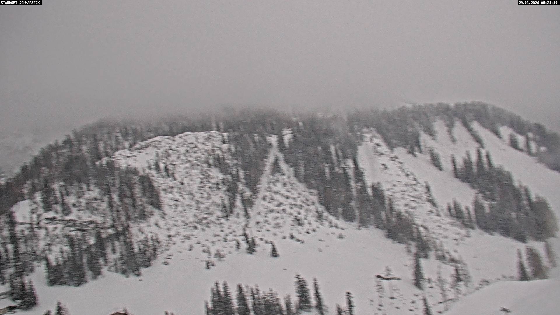 Archiv Foto Webcam Grubhörndl, Loferer Alm