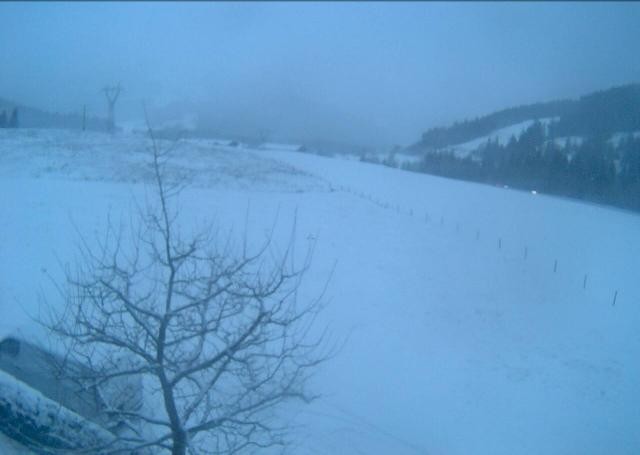 Archiv Foto Webcam Hochfilzen, Tirol