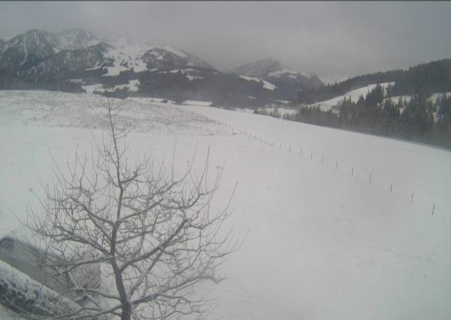 Archiv Foto Webcam Hochfilzen, Tirol