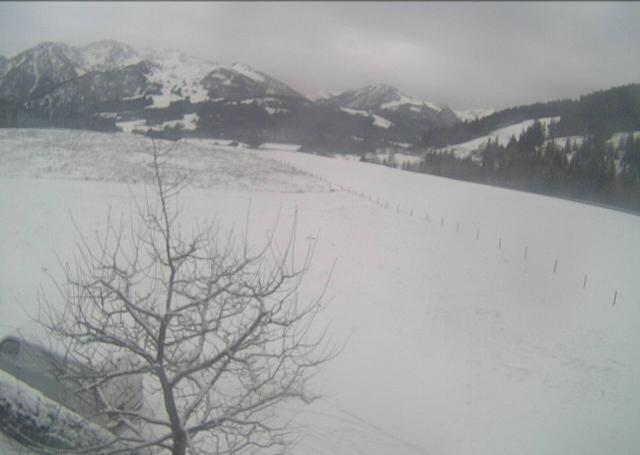 Archiv Foto Webcam Hochfilzen, Tirol
