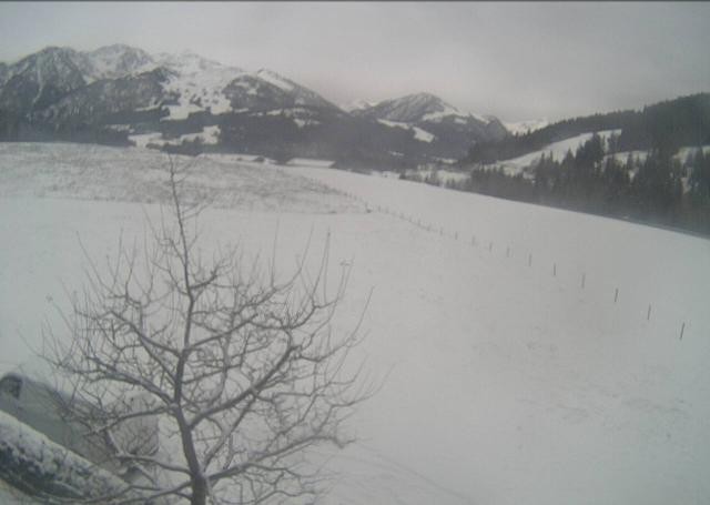 Archiv Foto Webcam Hochfilzen, Tirol