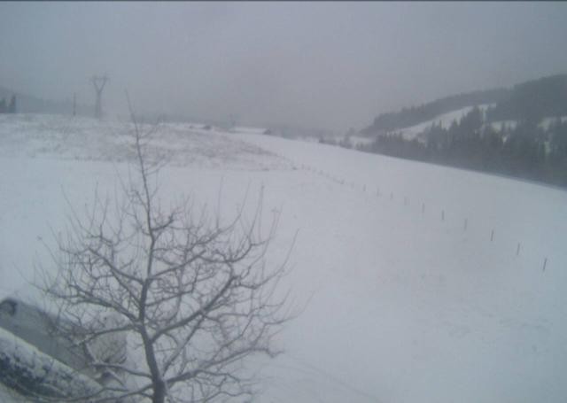 Archiv Foto Webcam Hochfilzen, Tirol