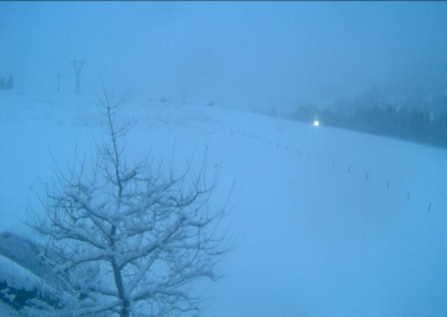 Archiv Foto Webcam Hochfilzen, Tirol