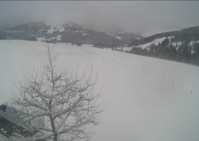 Archiv Foto Webcam Hochfilzen, Tirol