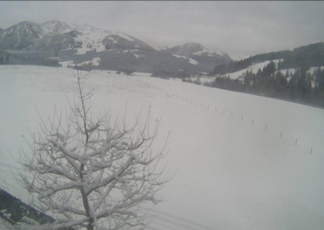 Archiv Foto Webcam Hochfilzen, Tirol