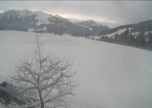 Archived image Webcam Hochfilzen, Tyrol