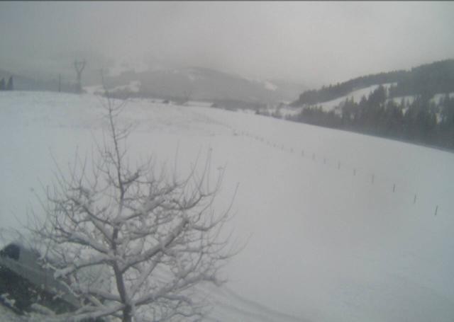 Archived image Webcam Hochfilzen, Tyrol
