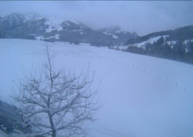 Archiv Foto Webcam Hochfilzen, Tirol
