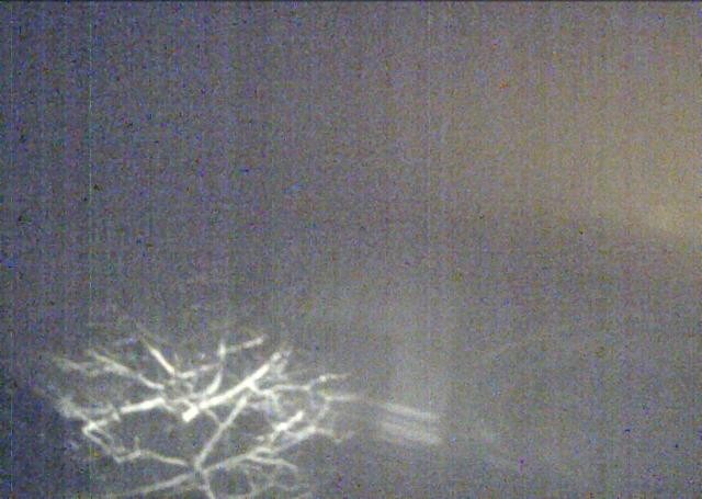 Archiv Foto Webcam Hochfilzen, Tirol