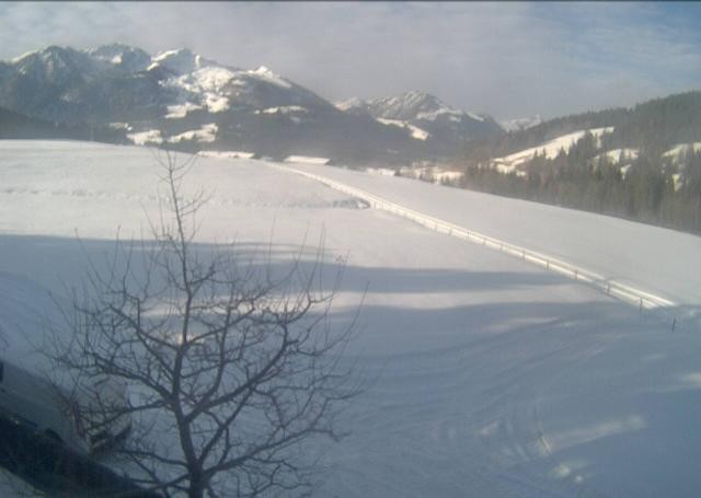 Archiv Foto Webcam Hochfilzen, Tirol