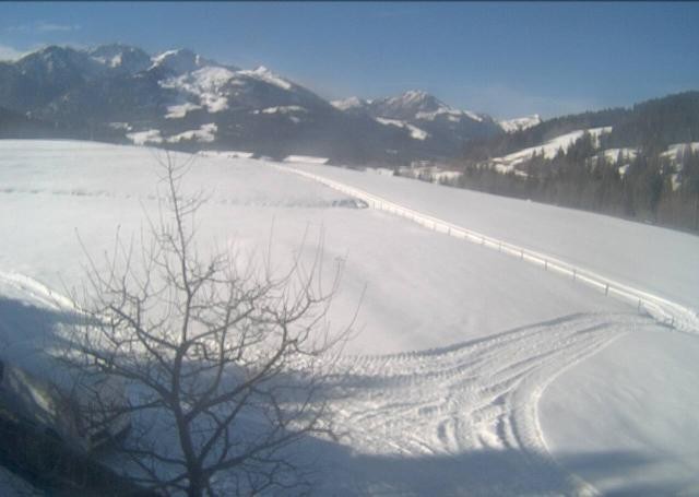 Archived image Webcam Hochfilzen, Tyrol