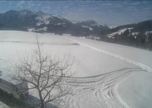 Archiv Foto Webcam Hochfilzen, Tirol
