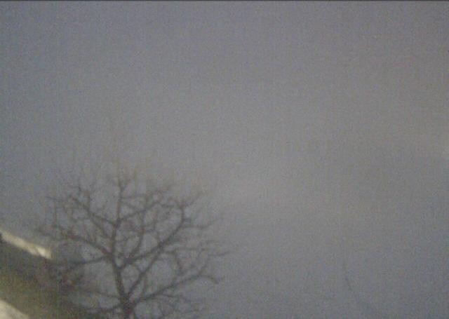 Archiv Foto Webcam Hochfilzen, Tirol