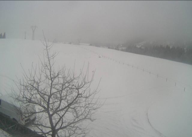Archiv Foto Webcam Hochfilzen, Tirol