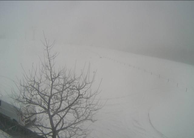 Archiv Foto Webcam Hochfilzen, Tirol