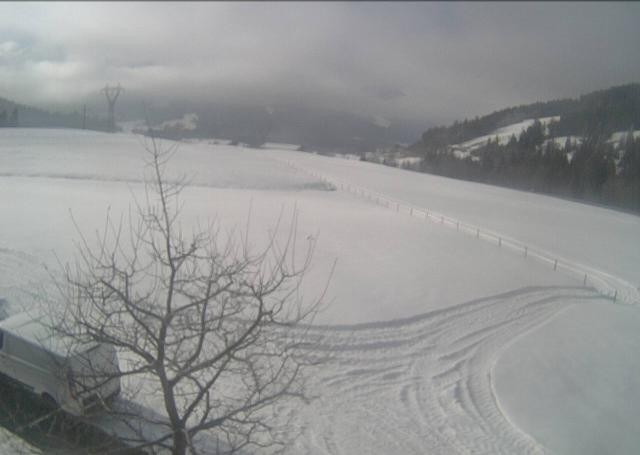 Archiv Foto Webcam Hochfilzen, Tirol