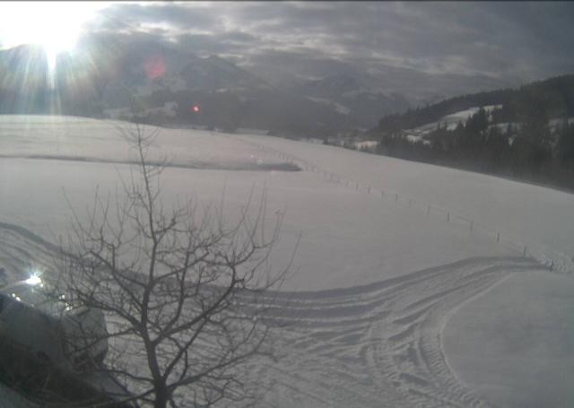 Archiv Foto Webcam Hochfilzen, Tirol