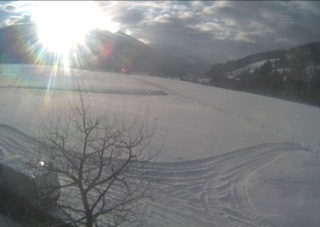 Archiv Foto Webcam Hochfilzen, Tirol
