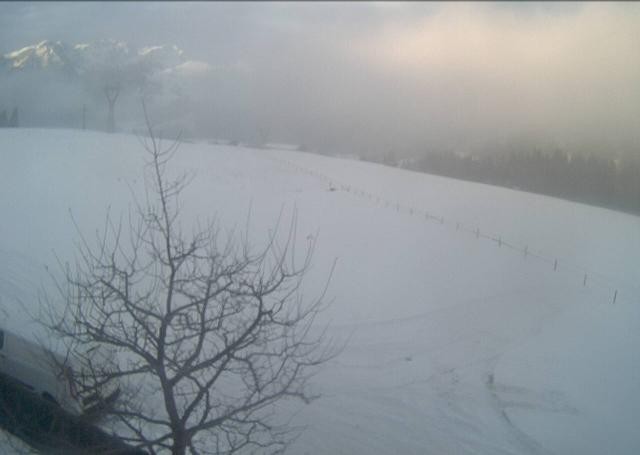 Archiv Foto Webcam Hochfilzen, Tirol