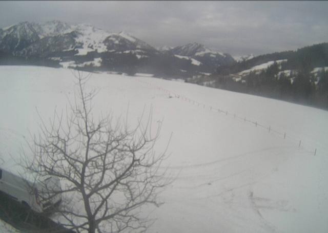 Archiv Foto Webcam Hochfilzen, Tirol