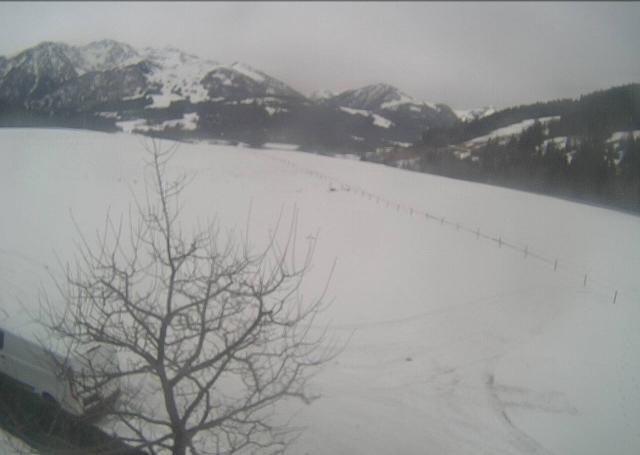 Archiv Foto Webcam Hochfilzen, Tirol