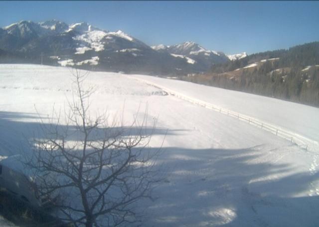 Archiv Foto Webcam Hochfilzen, Tirol