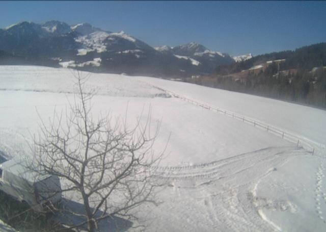 Archiv Foto Webcam Hochfilzen, Tirol