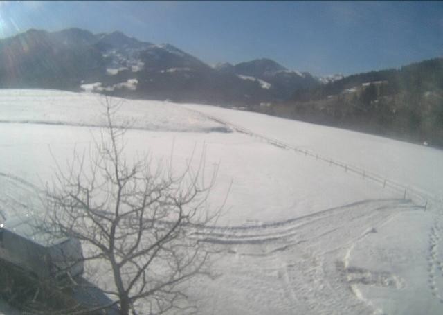 Archiv Foto Webcam Hochfilzen, Tirol