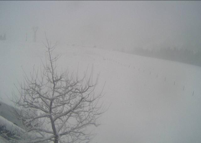 Archiv Foto Webcam Hochfilzen, Tirol