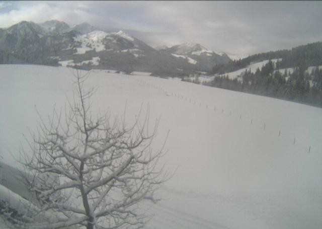 Archiv Foto Webcam Hochfilzen, Tirol