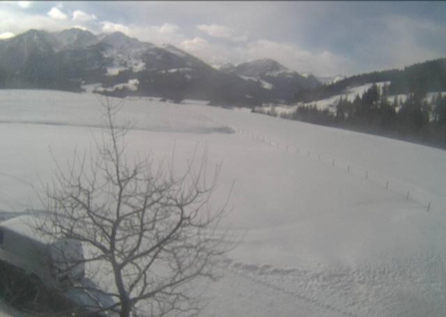 Archiv Foto Webcam Hochfilzen, Tirol