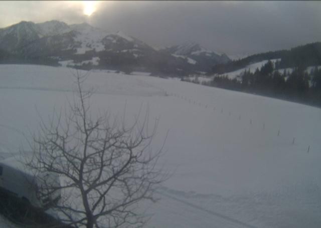 Archiv Foto Webcam Hochfilzen, Tirol