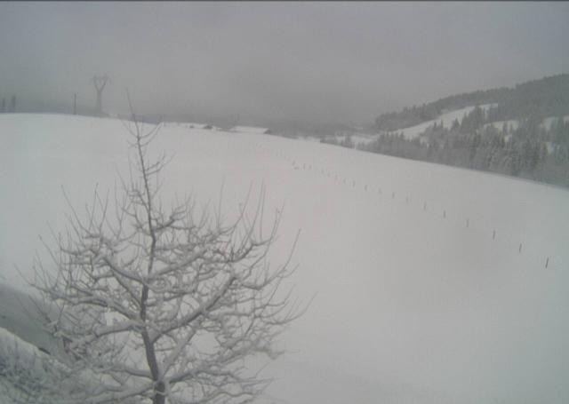 Archiv Foto Webcam Hochfilzen, Tirol