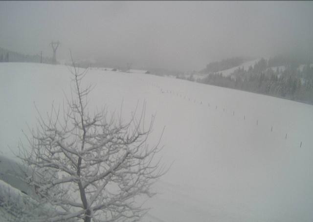 Archiv Foto Webcam Hochfilzen, Tirol