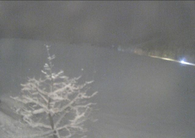 Archived image Webcam Hochfilzen, Tyrol
