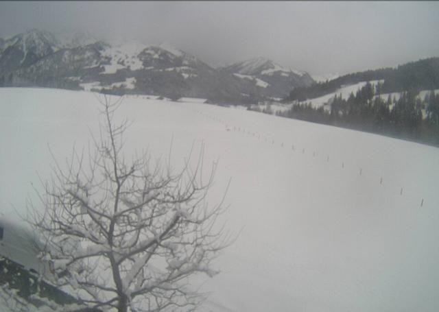 Archiv Foto Webcam Hochfilzen, Tirol