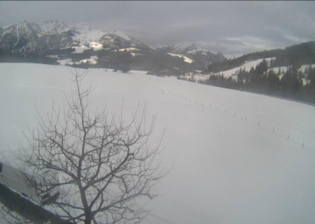 Archiv Foto Webcam Hochfilzen, Tirol