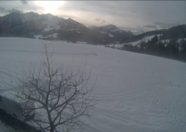 Archiv Foto Webcam Hochfilzen, Tirol