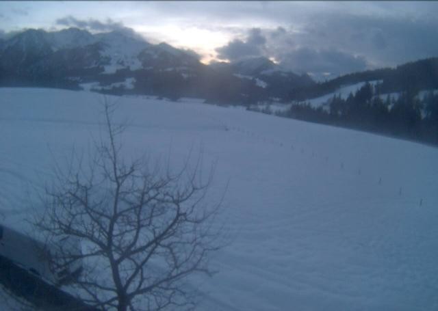 Archiv Foto Webcam Hochfilzen, Tirol