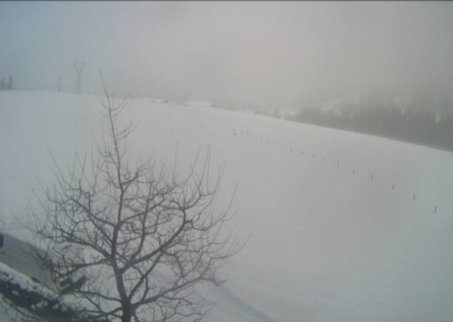 Archiv Foto Webcam Hochfilzen, Tirol