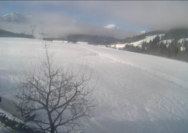 Archiv Foto Webcam Hochfilzen, Tirol